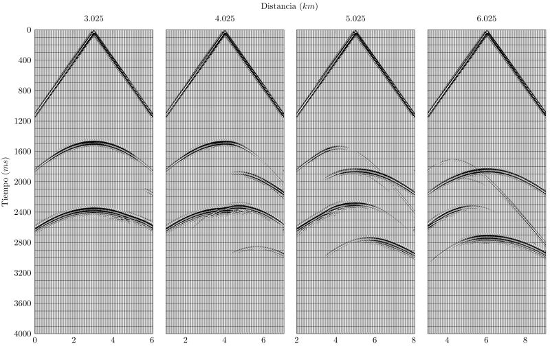File:Shot gathers df modelo1.jpg
